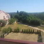 Active * Pula
