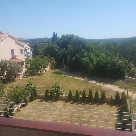Active * Pula